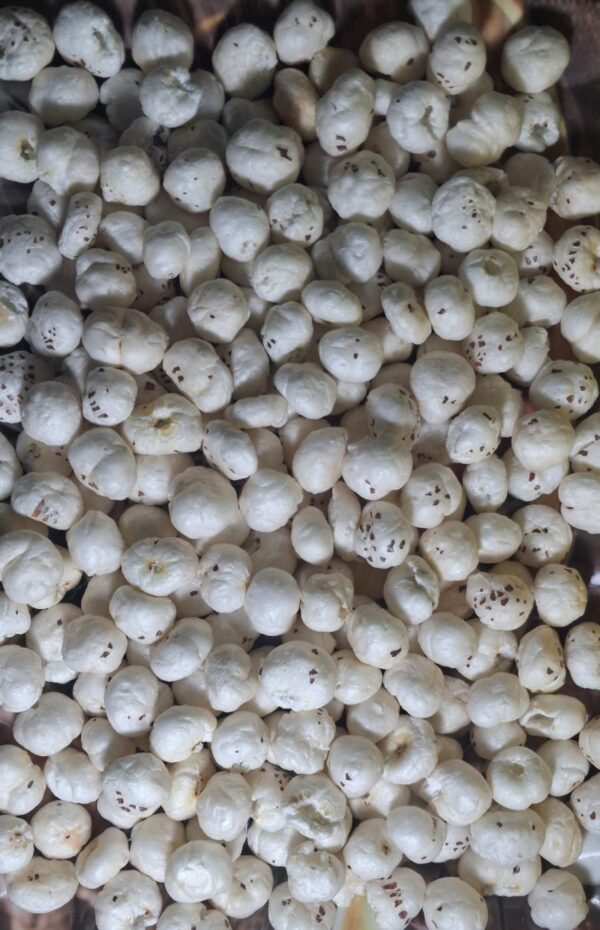 WhatsApp Image 2026-02-16 at 2.49.19 PM PREMIUM MAKHANA